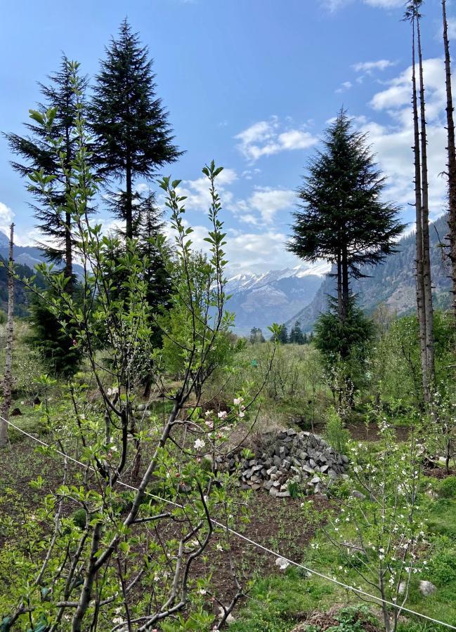 Getaway Stays Manali Bagian luar foto